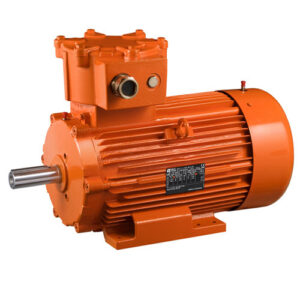 LS explosion proof